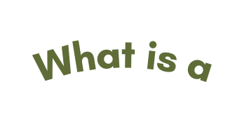 What is a